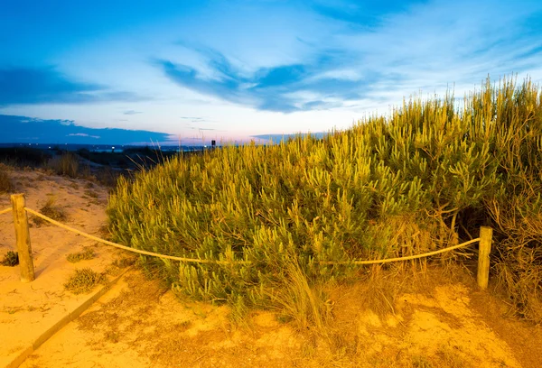 Outdoor at night on a tropical beach — Stock Photo, Image