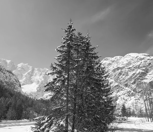 Kış Dolomites dağlar, İtalya — Stok fotoğraf