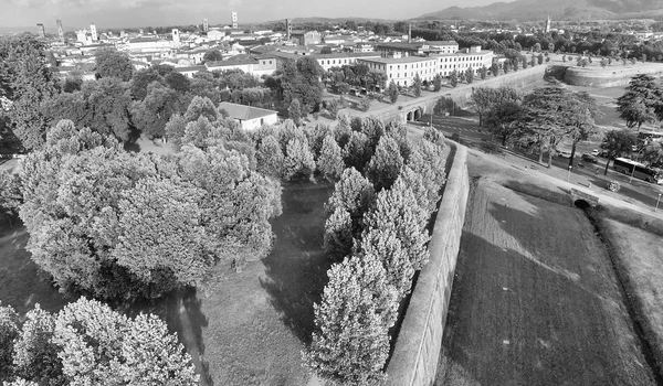 İtalya Lucca şehrin havadan görünümü — Stok fotoğraf