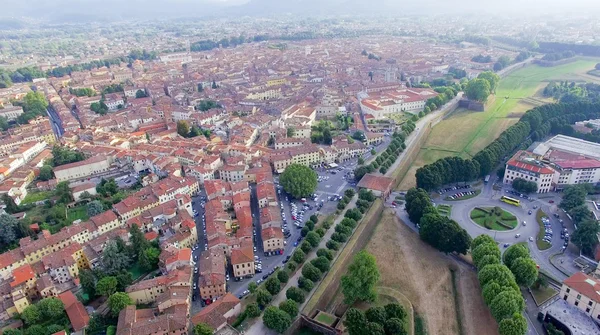 Aerial view of Lucca ancient town, — Stock Photo, Image