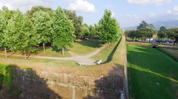 Oude stadsmuren van Lucca, Italië — Stockfoto