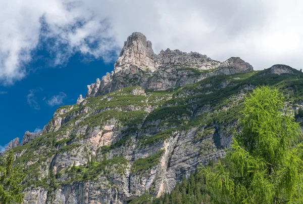 Летняя панорама потрясающих Альп — стоковое фото