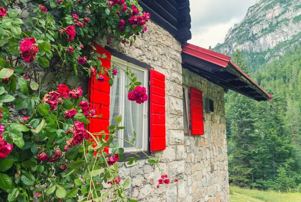 红色的木质窗户的山间小屋 — 图库照片