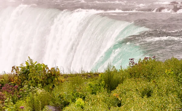 Pohled z vody a vegetace v Niagara — Stock fotografie