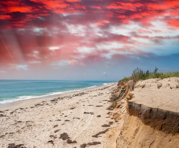 Beautiful Nantucket coast — Stock Photo, Image