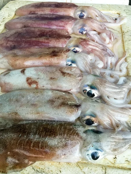 Calamares, calamares en el mercado —  Fotos de Stock