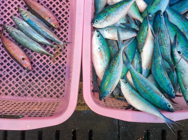 Pesce fresco al mercato — Foto Stock