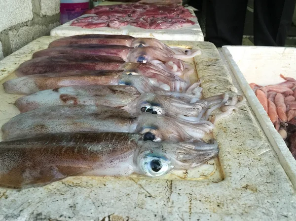 Calamares, inktvis op markt — Stockfoto