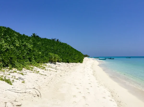 Islas Maldivas playa — Foto de Stock