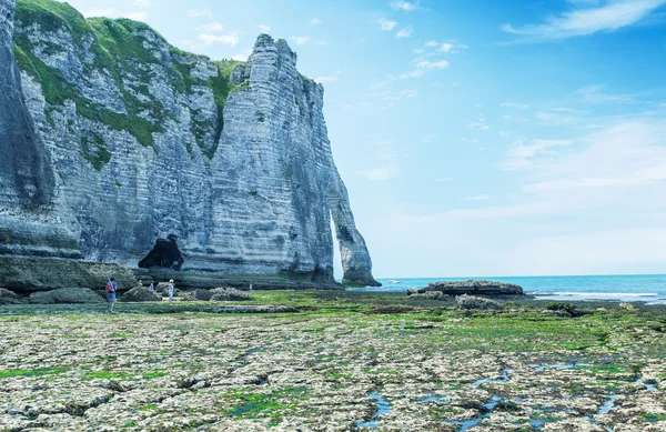 Natural Chalk cliffs in Normandy — Stock Photo, Image