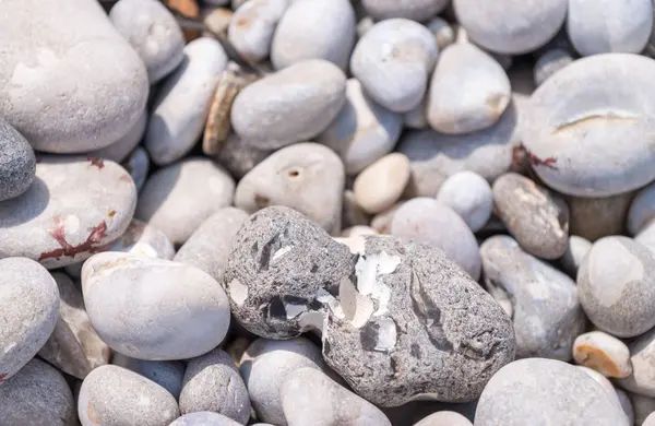 Sea pebble stones background — Stock Photo, Image