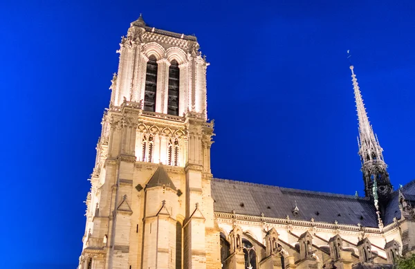 Kathedraal van Notre-dame bij nacht, Parijs — Stockfoto