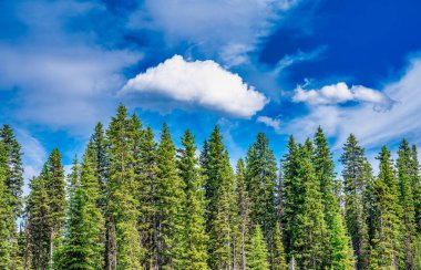 Alp Kaçışı - Louise Gölü Göl Altında Güneşli Gökyüzü.