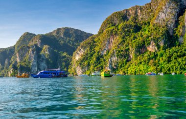 Phi Phi Adası, Tayland - 24 Aralık 2019: Phi Phi 'nin turkuaz kıyıları boyunca uzun kuyruklu botlar ve sürat tekneleri dizildi.