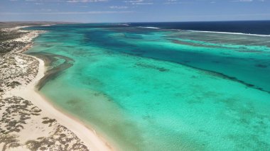 Osprey Körfezi WA 'nın panoramik hava manzarası. Parlak güneş ışığı altında tekne, resif ve manzaralı kıyı şeridi..