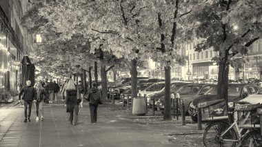 Varşova 'nın sonbahar gecesi manzarası renkli ağaçları, sokakları ve kentsel mimariyi vurguluyor.