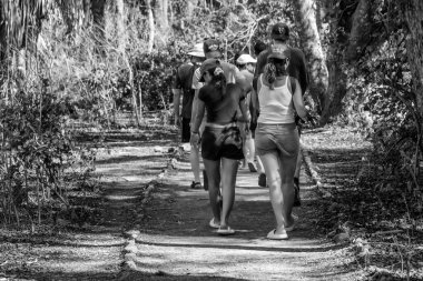 Turistler Endonezya 'daki Loh Liang Ulusal Parkı adalarında manzaralı patikalar boyunca yürüyorlar..