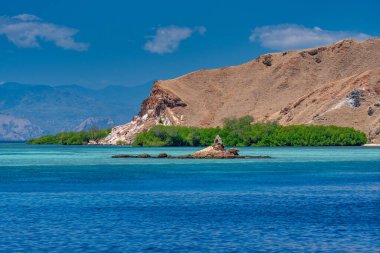 Sakin dalgalar ve tropikal manzaralı Komodo Ulusal Parkı 'nın çarpıcı turkuaz denizi.
