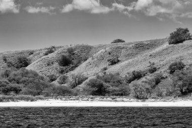 Komodos Pembe Sahili manzaralı, canlı pembe kum ve tropikal renklerle.. 