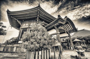 Japonya, Nara 'daki Kofuku-ji tapınağı..