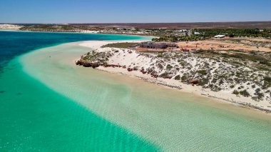 Coral Bay kıyı şeridinin insansız hava görüntüsü temiz mavi suları ve WA 'daki kumlu sahili gösteriyor..