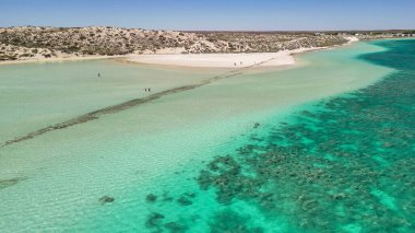 Mercan resifi ve tropikal deniz manzaralı Coral Bay Batı Avustralya 'nın panoramik hava manzarası.