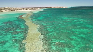 Coral Bay kıyı şeridinin insansız hava görüntüsü temiz mavi suları ve WA 'daki kumlu sahili gösteriyor..