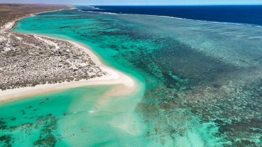 Dünya Savaşı 'ndaki Turkuaz Körfezi' nin resif, dalga ve tropikal manzaralı panoramik hava manzarası..