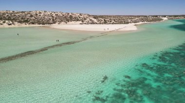 Batı Avustralya 'daki Mercan Körfezi ve sahil manzarası turkuaz okyanus ve beyaz kumla kaplı..