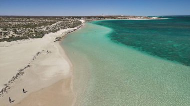 Coral Bay kıyı şeridinin insansız hava görüntüsü temiz mavi suları ve WA 'daki kumlu sahili gösteriyor..