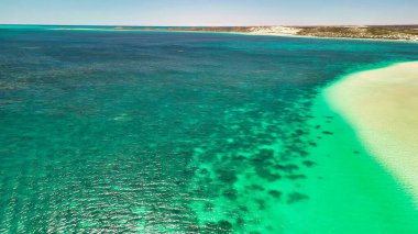 Batı Avustralya 'daki Mercan Körfezi ve sahil manzarası turkuaz okyanus ve beyaz kumla kaplı..