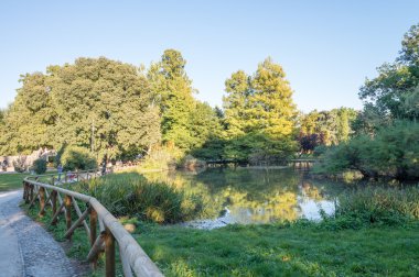 Ağaçları Parco Sempione, Milano, İtalya