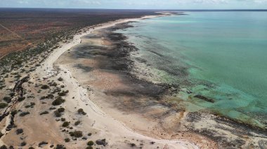 Drone photography of Hamelin Pool Shark Bay WA featuring unique marine formations and patterns.
