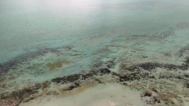 Aerial view of Hamelin Pool in Western Australia showing turquoise waters and stromatolites.