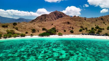 Komodo Adaları 'nın manzaralı manzarası. Pembe plaj yemyeşil tepelerle çevrili.. 
