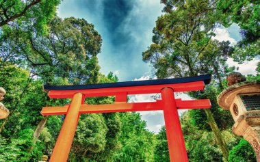 Kasuga Sığınak Parkı 'ndaki İkinci Torii Kapısı.