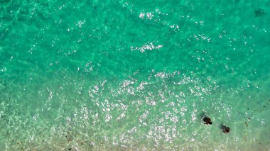 Güneşli bir tropikal kıyı şeridinde yüzen ve dinlenen insanların insansız hava aracı perspektifi.