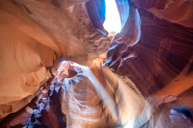 Kırmızı kum ve yontulmuş kaya duvarları aydınlatan ışık demetleriyle muhteşem Antilop Kanyonu iç mekanı.