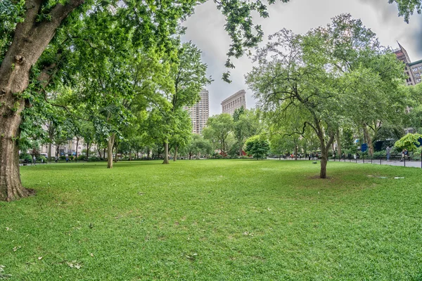 Madison Square Park, Nueva York — Foto de Stock