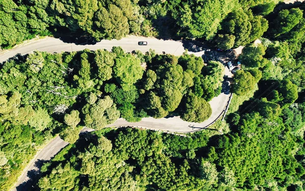 Downward aerial view of a beautful windy road across a forest.