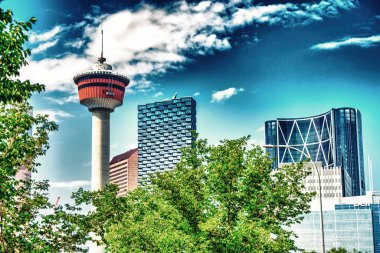 Calgary, Alberta - 10 Temmuz 2024 Calgary Kulesi.