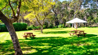 Batı Avustralya 'da bankları olan güzel bir park..