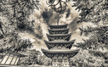Kofuku-Ji Beş Katlı Pagoda Nara, Japonya.