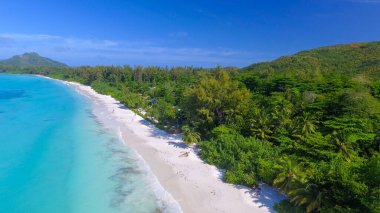 Praslin Sahili, Seyşeller. Güneşli bir günde tropikal kıyı şeridinin havadan görünüşü.
