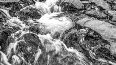 Yaz sezonunda Mount Rainier Ulusal Parkı 'nın muhteşem manzarası, Washington - ABD.