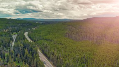 Yellowstone Ormanı yaz mevsiminde panoramik hava manzarası, Wyoming, ABD.