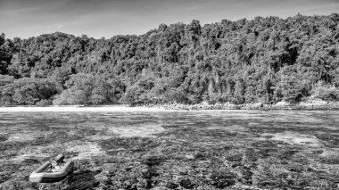 Surin Ulusal Parkı 'nda el değmemiş doğayla çevrili el değmemiş turkuaz deniz..