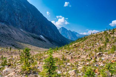 Sahne Edith Cavell Gölü, Jasper Ulusal Parkı, Alberta, Kanada.