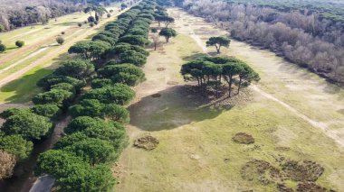 İtalya 'nın Pisa kentindeki San Rossore Doğal Parkı' nın yemyeşil ve kıyı şeridi manzarası.