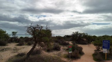 Köpek Balığı Koyu 'ndaki Hamelin Havuzu' nun insansız hava aracı görüntüsü kristal berrak su ve doğal desenlerle.